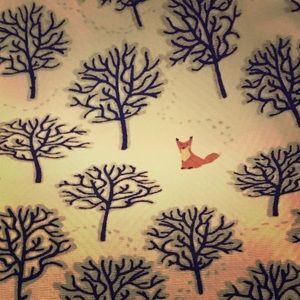 Fox 🦊 Kitchen Towels